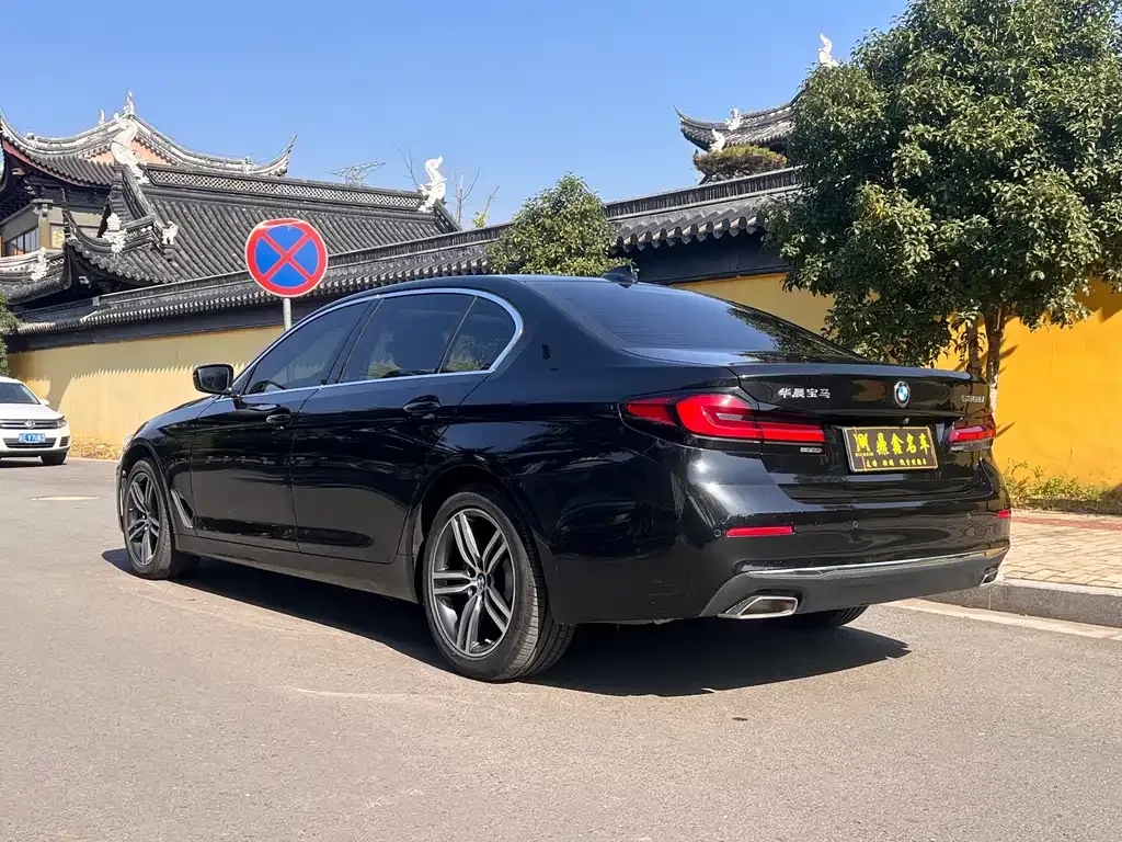 BMW 5 Series 2023 из CN, фото 7