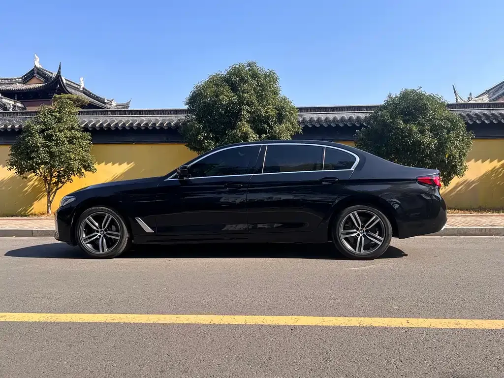 BMW 5 Series 2023 из CN, фото 8
