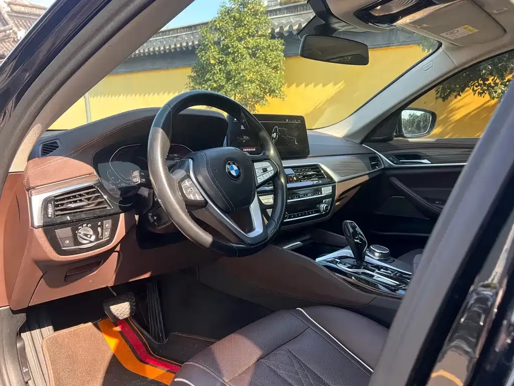 BMW 5 Series 2023 из CN, фото 9