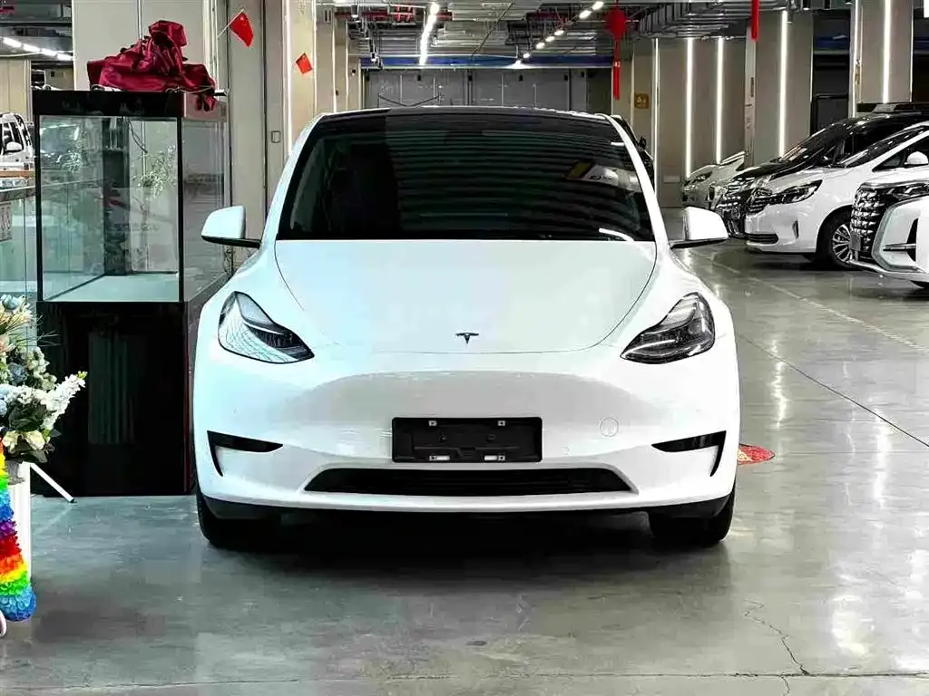 Tesla Model Y 2022 из CN, фото 2