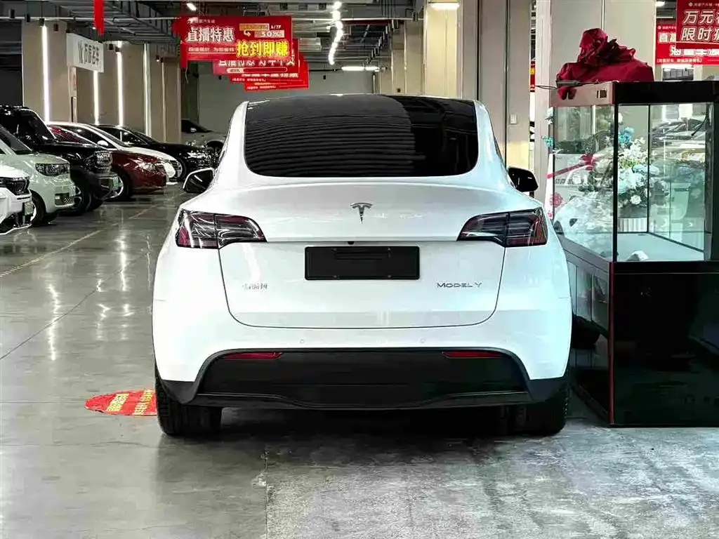 Tesla Model Y 2022 из CN, фото 4