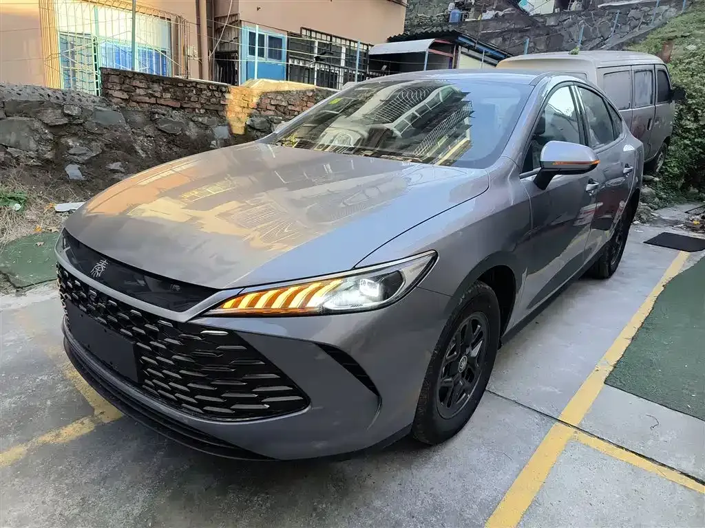 BYD Qin PLUS 2025 из CN, фото 1