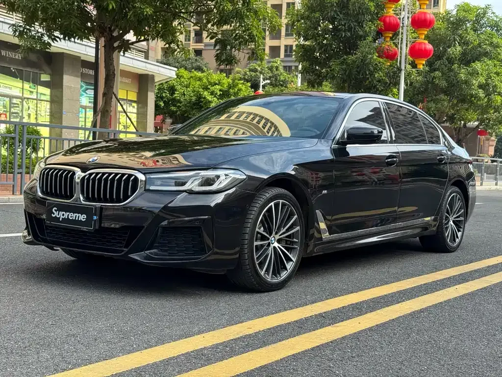 BMW 5 Series 2021 из CN, фото 1