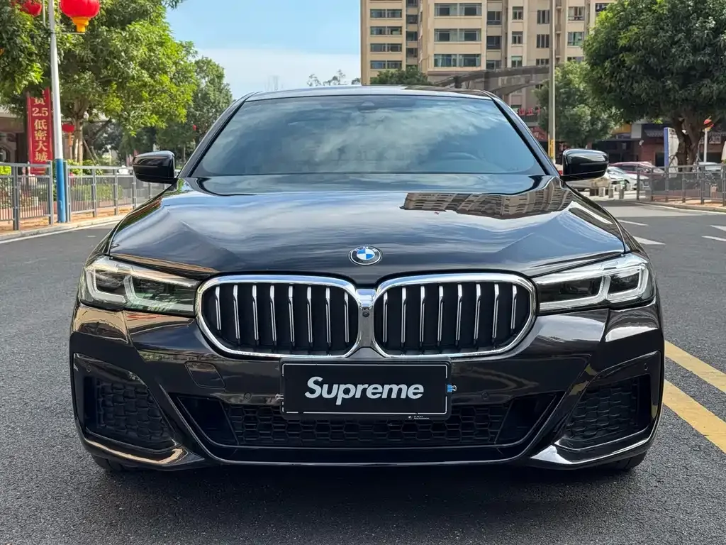 BMW 5 Series 2021 из CN, фото 2