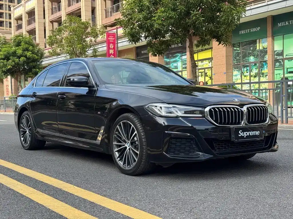BMW 5 Series 2021 из CN, фото 3