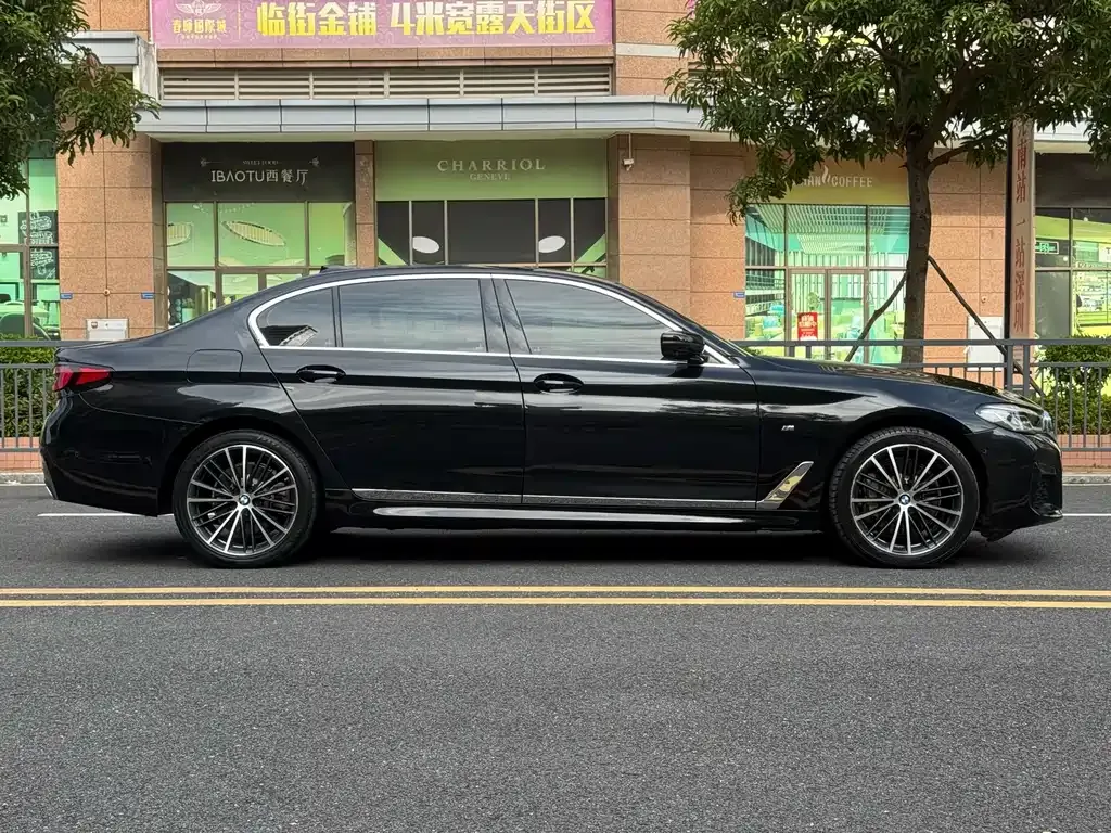 BMW 5 Series 2021 из CN, фото 4