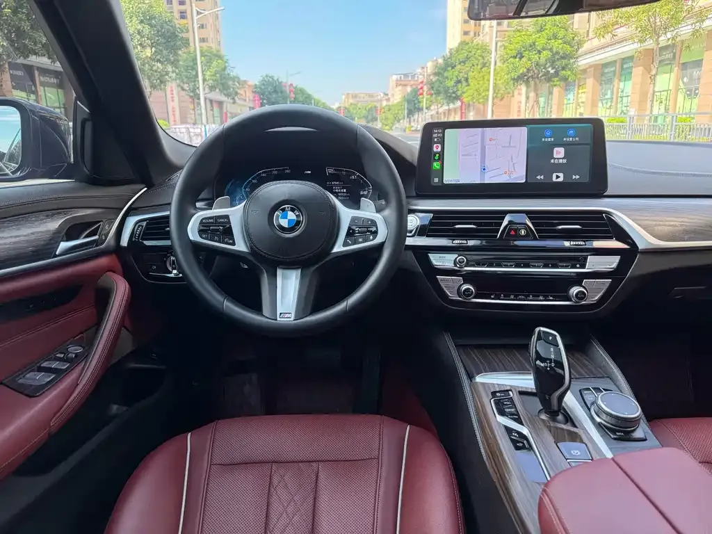 BMW 5 Series 2021 из CN, фото 6