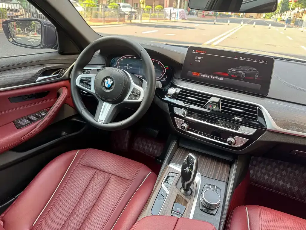 BMW 5 Series 2021 из CN, фото 7