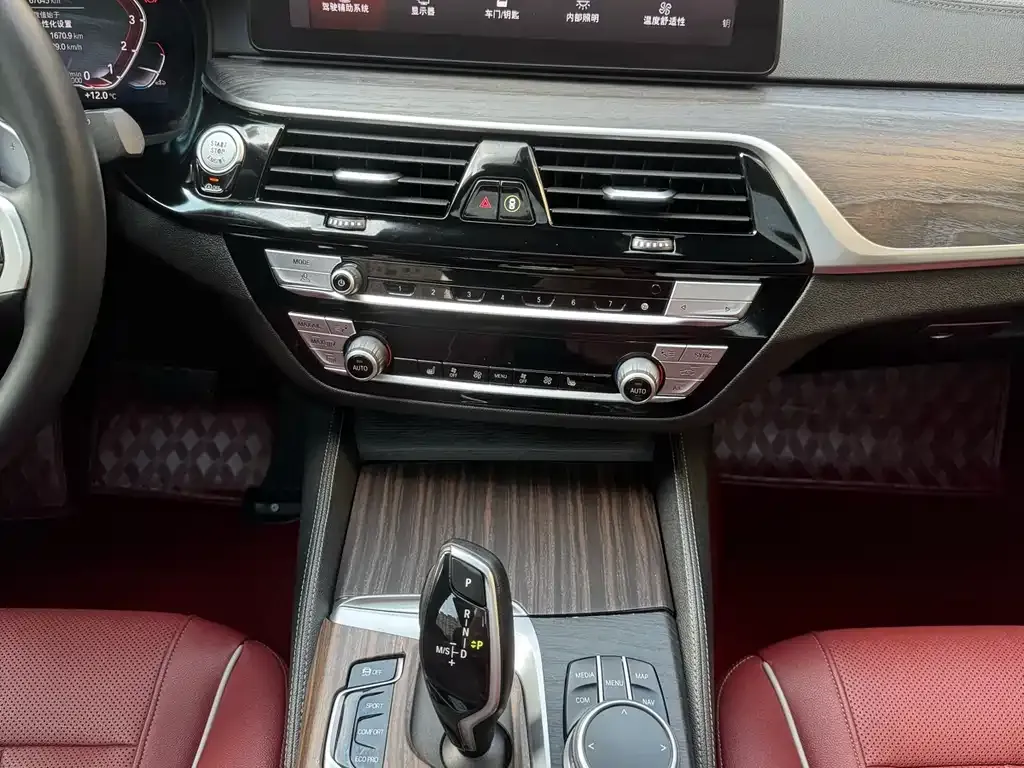 BMW 5 Series 2021 из CN, фото 8