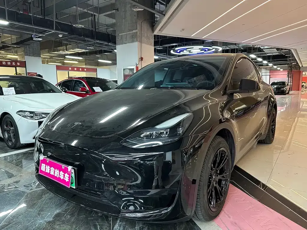 Tesla Model Y 2022 из CN, фото 1