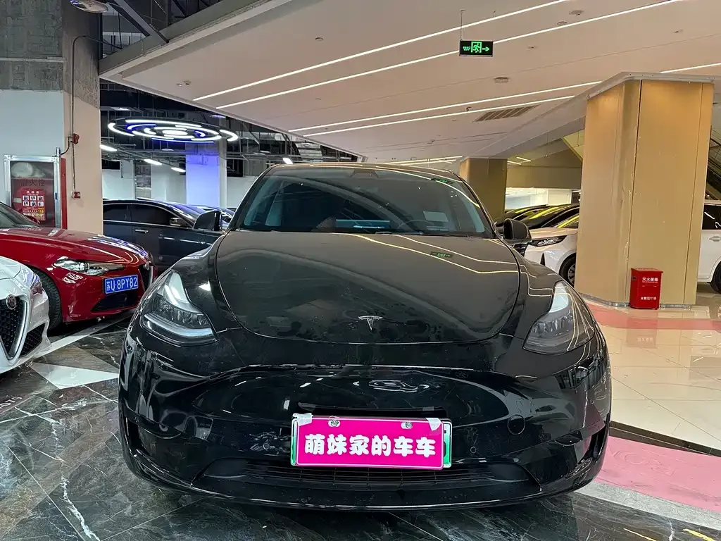 Tesla Model Y 2022 из CN, фото 2