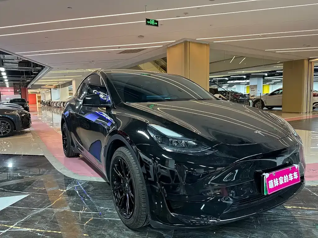 Tesla Model Y 2022 из CN, фото 3