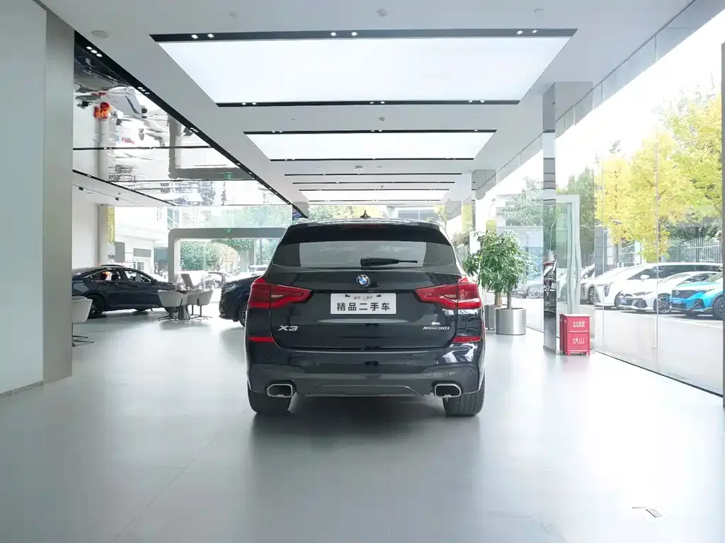 BMW X3 2021 из CN, фото 6