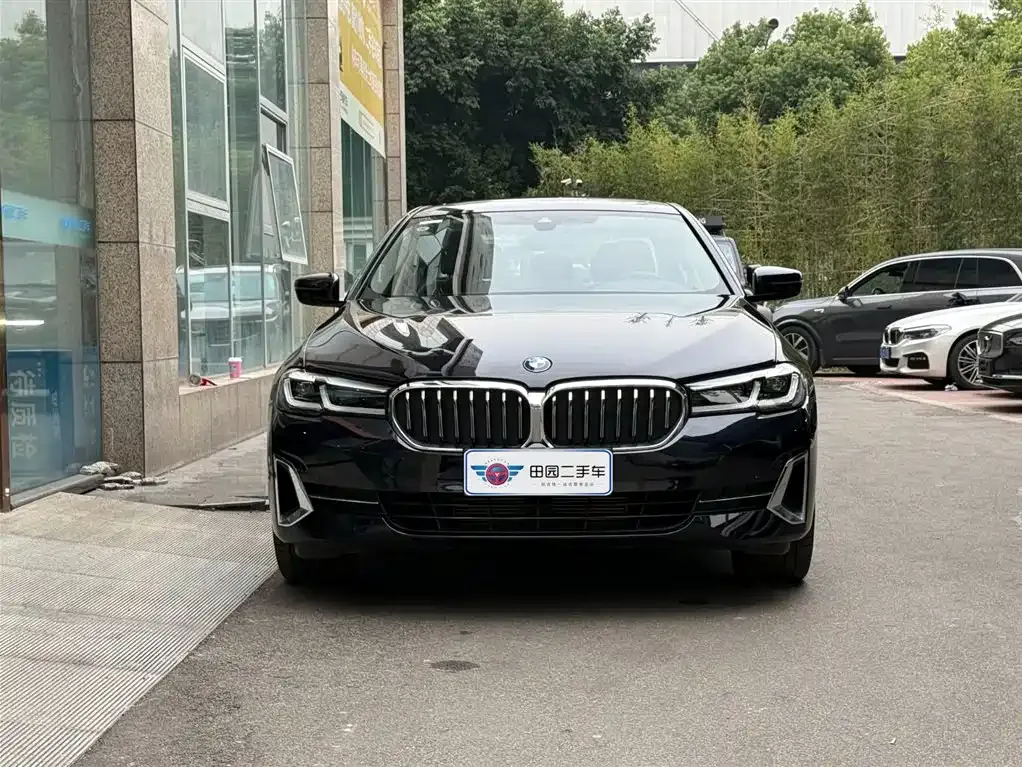 BMW 5 Series 2024 из CN, фото 2