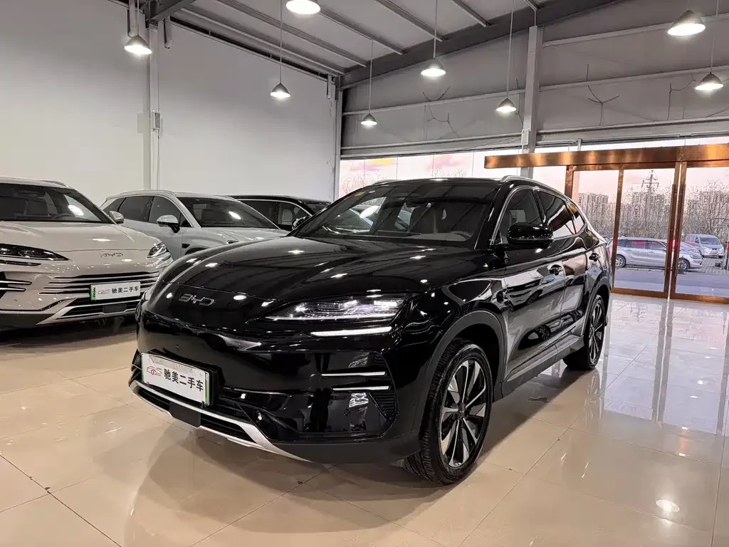 BYD PLUS New Energy 2025 из CN, фото 1