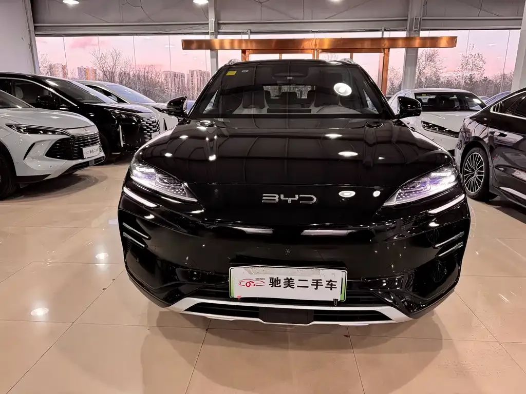 BYD PLUS New Energy 2025 из CN, фото 2