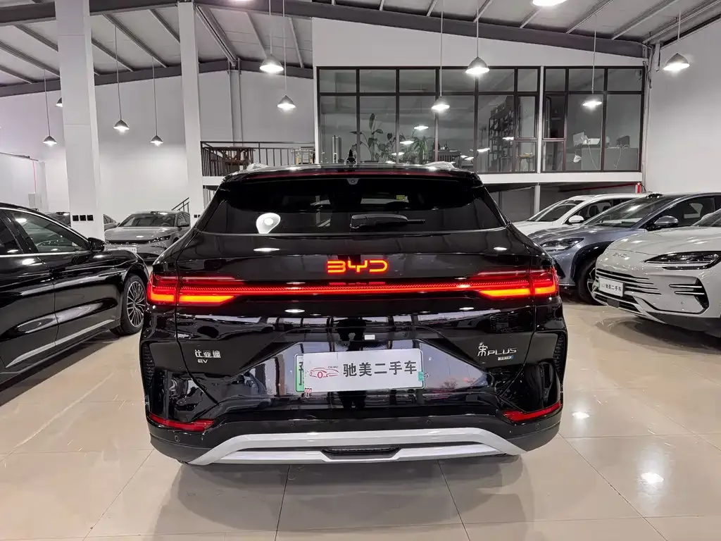 BYD PLUS New Energy 2025 из CN, фото 4