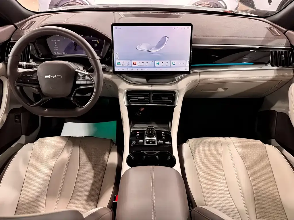 BYD PLUS New Energy 2025 из CN, фото 9