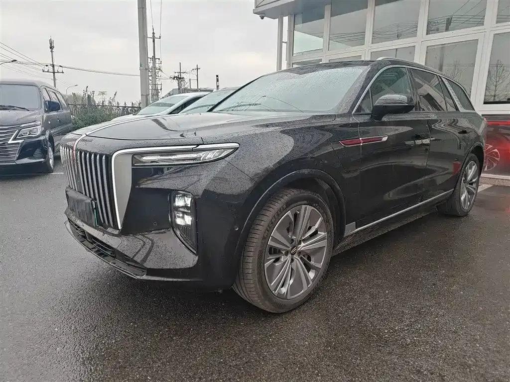 Hongqi E-HS9 2023 из CN, фото 2