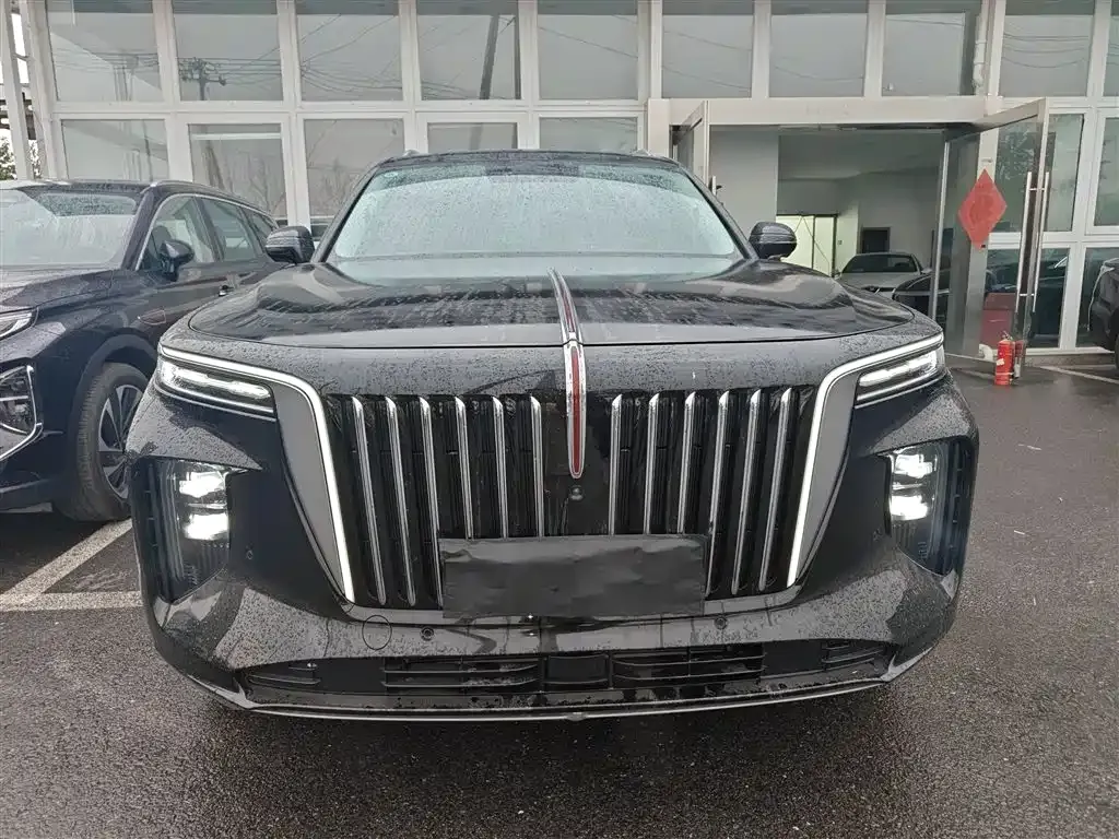 Hongqi E-HS9 2023 из CN, фото 3