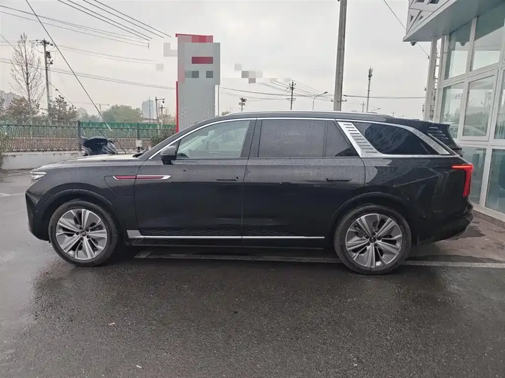 Hongqi E-HS9 2023 из CN, фото 5