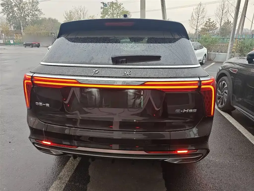 Hongqi E-HS9 2023 из CN, фото 6