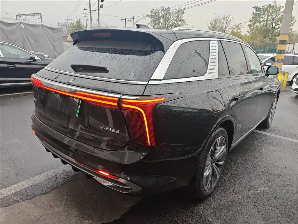 Hongqi E-HS9 2023 из CN, фото 7