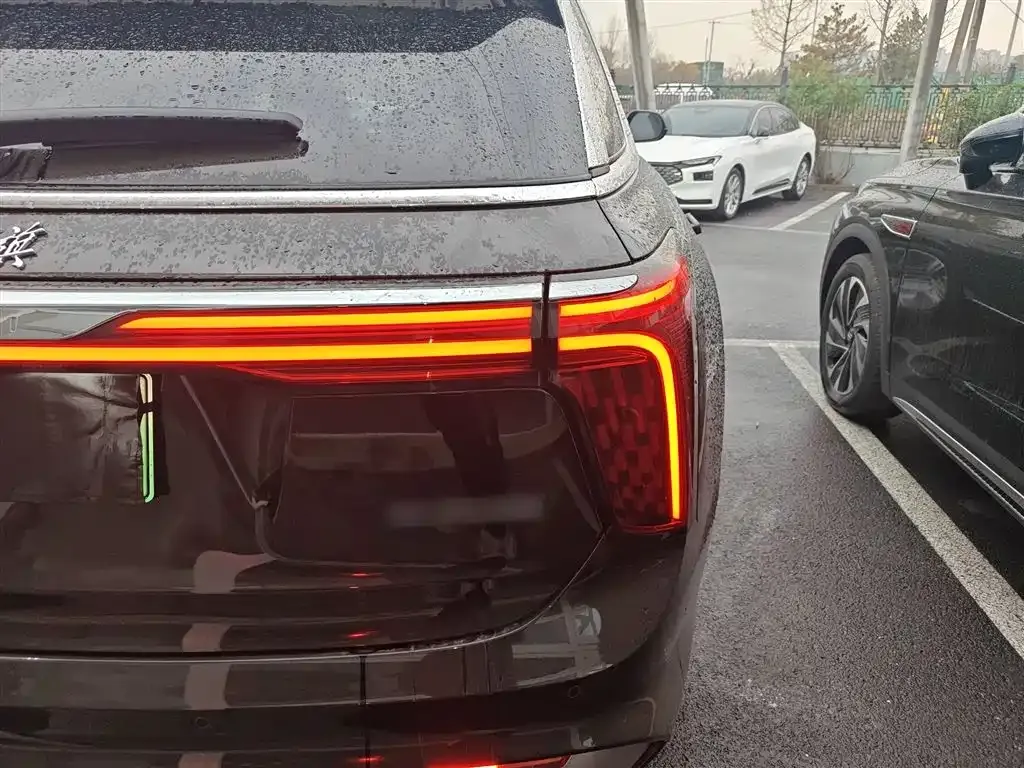 Hongqi E-HS9 2023 из CN, фото 8