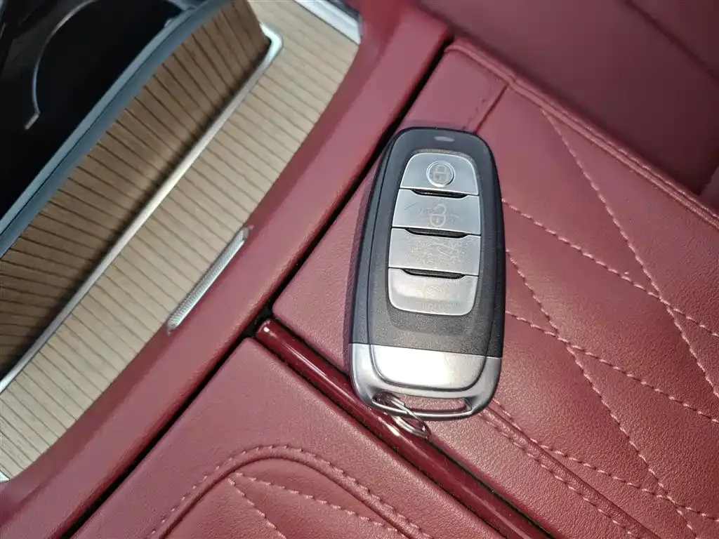 Hongqi E-HS9 2023 из CN, фото 9