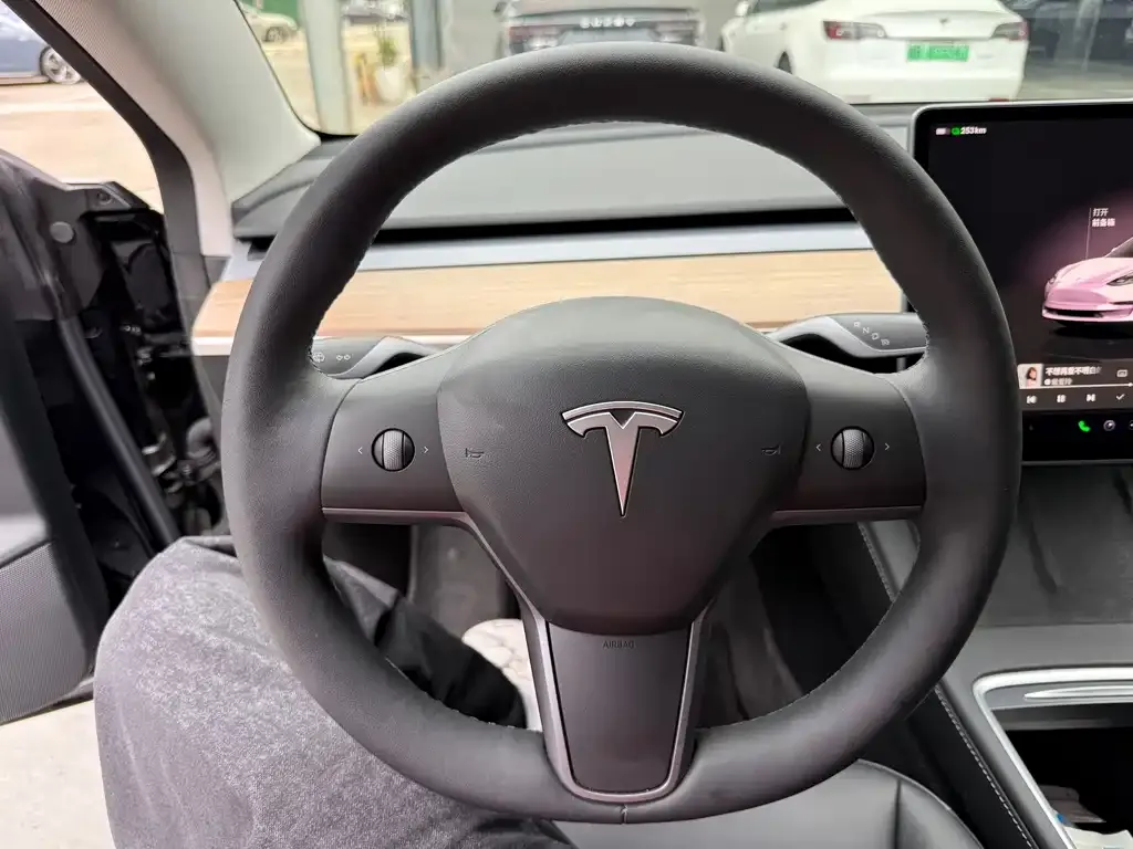Tesla Model 3 2023 из CN, фото 5