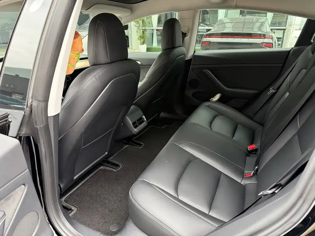 Tesla Model 3 2023 из CN, фото 9