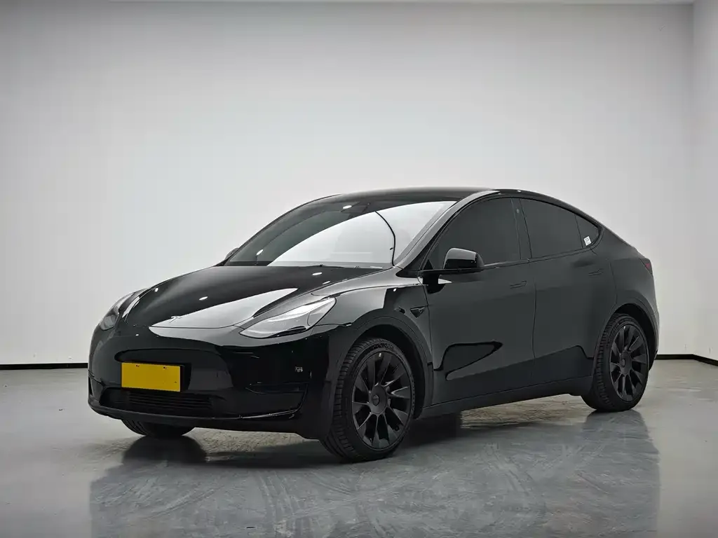 Tesla Model Y 2023 из CN, фото 1