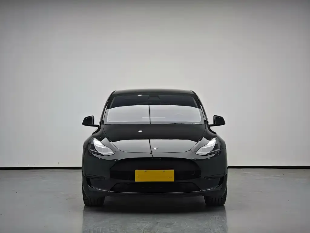 Tesla Model Y 2023 из CN, фото 2