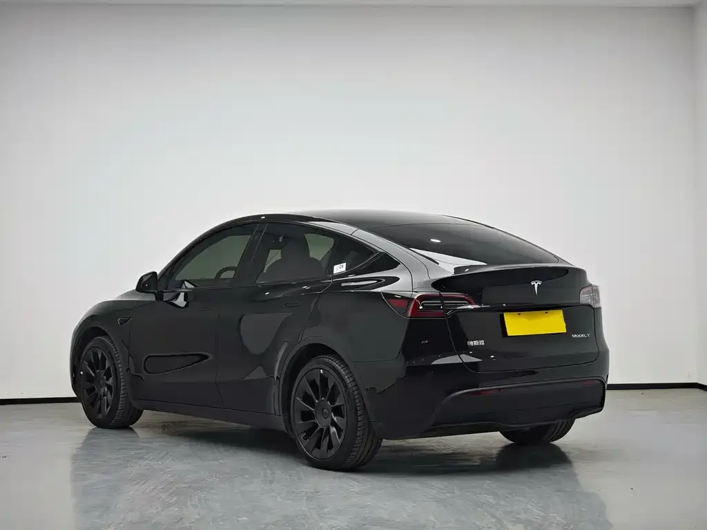 Tesla Model Y 2023 из CN, фото 5