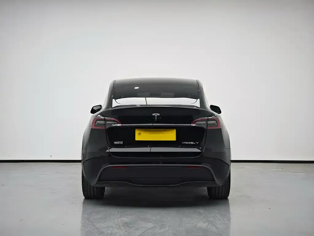Tesla Model Y 2023 из CN, фото 6