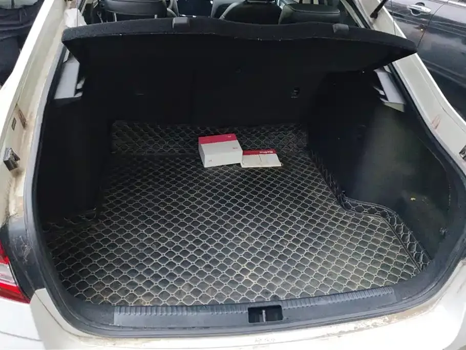 Skoda Octavia 2021 из CN, фото 4