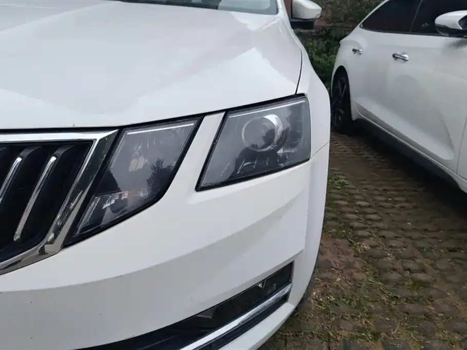 Skoda Octavia 2021 из CN, фото 5