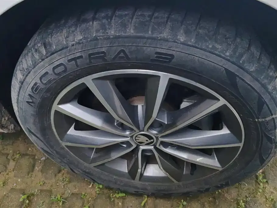 Skoda Octavia 2021 из CN, фото 6