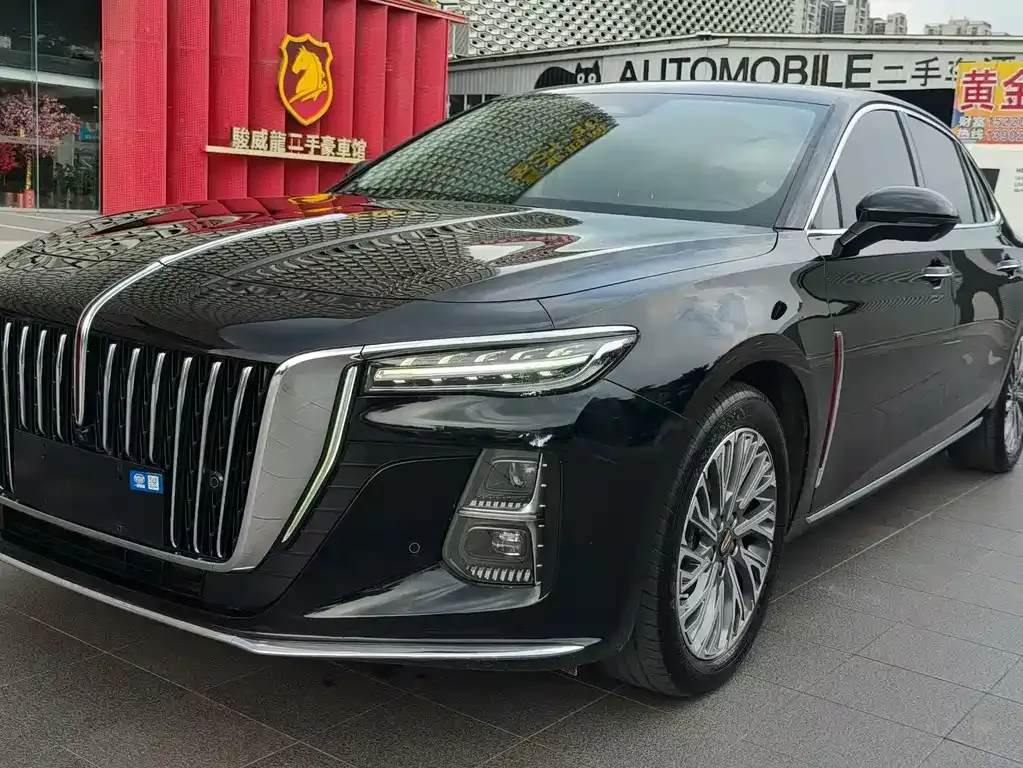 Hongqi H5 2023 из CN, фото 1
