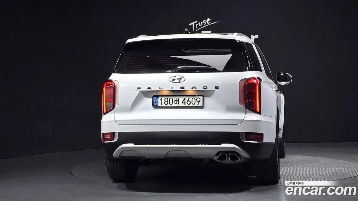 Hyundai Palisade 2021 из KR, фото 4