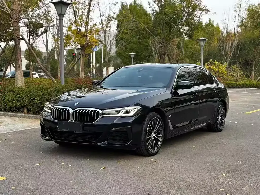 BMW 5 Series 2023 из CN, фото 1