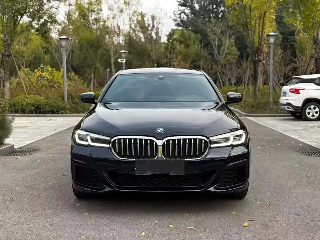 BMW 5 Series 2023 из CN, фото 2