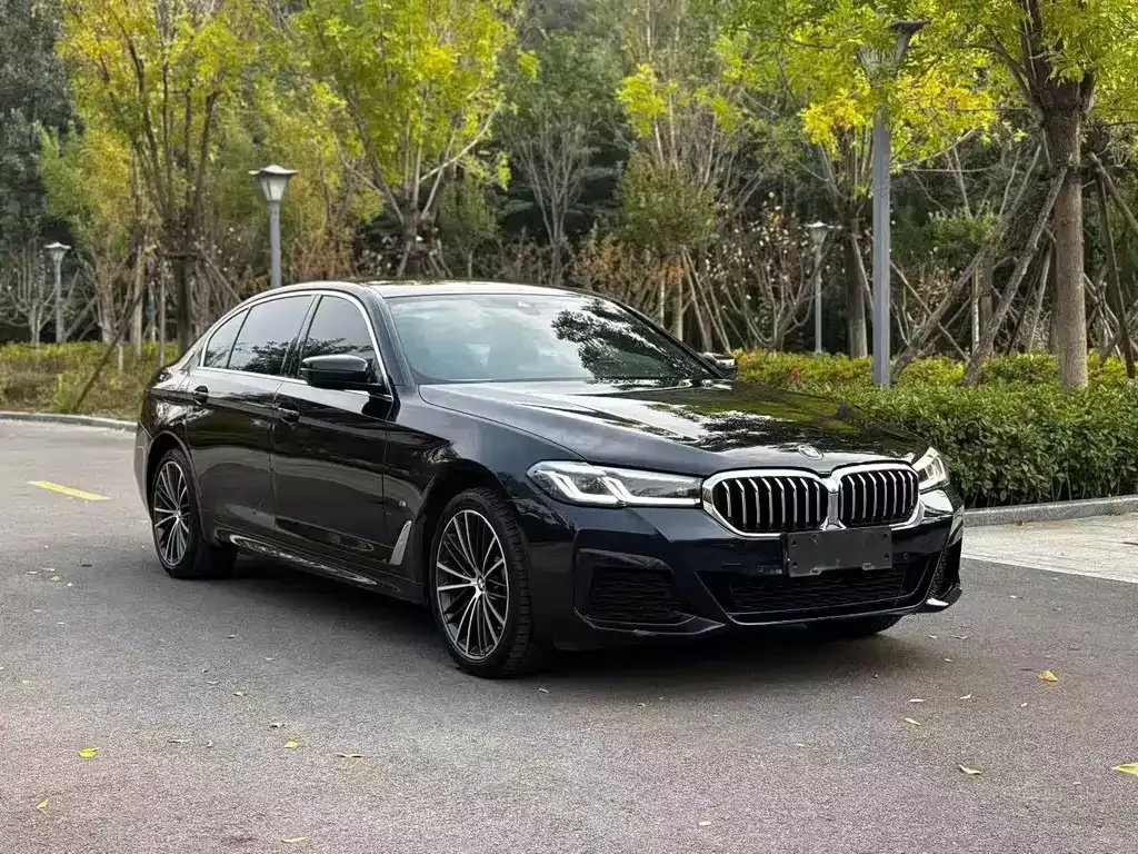 BMW 5 Series 2023 из CN, фото 3