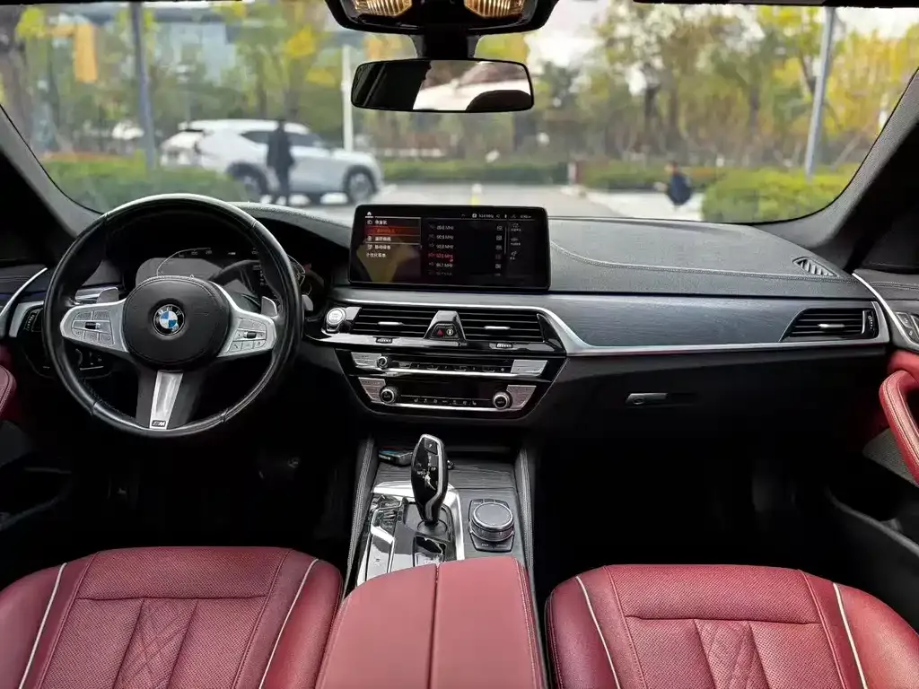 BMW 5 Series 2023 из CN, фото 5