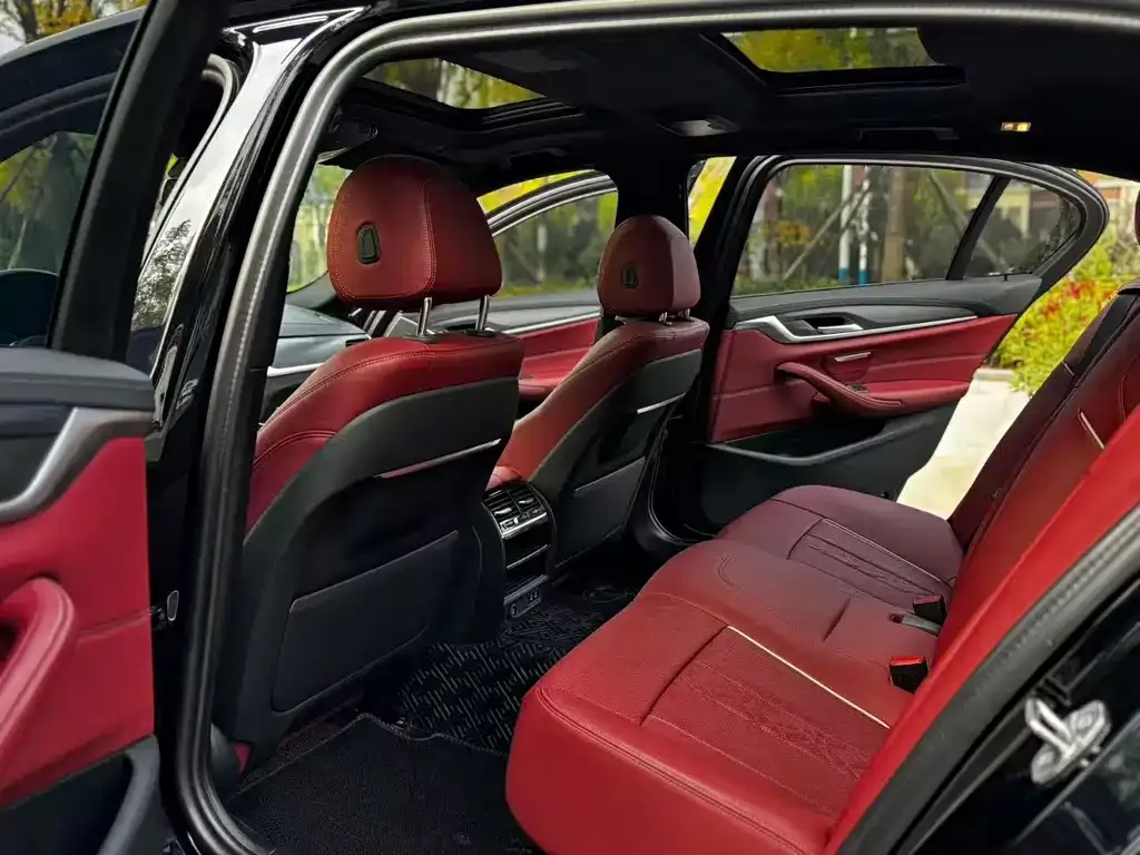 BMW 5 Series 2023 из CN, фото 6