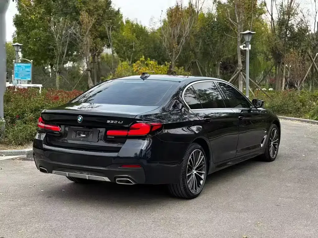 BMW 5 Series 2023 из CN, фото 7