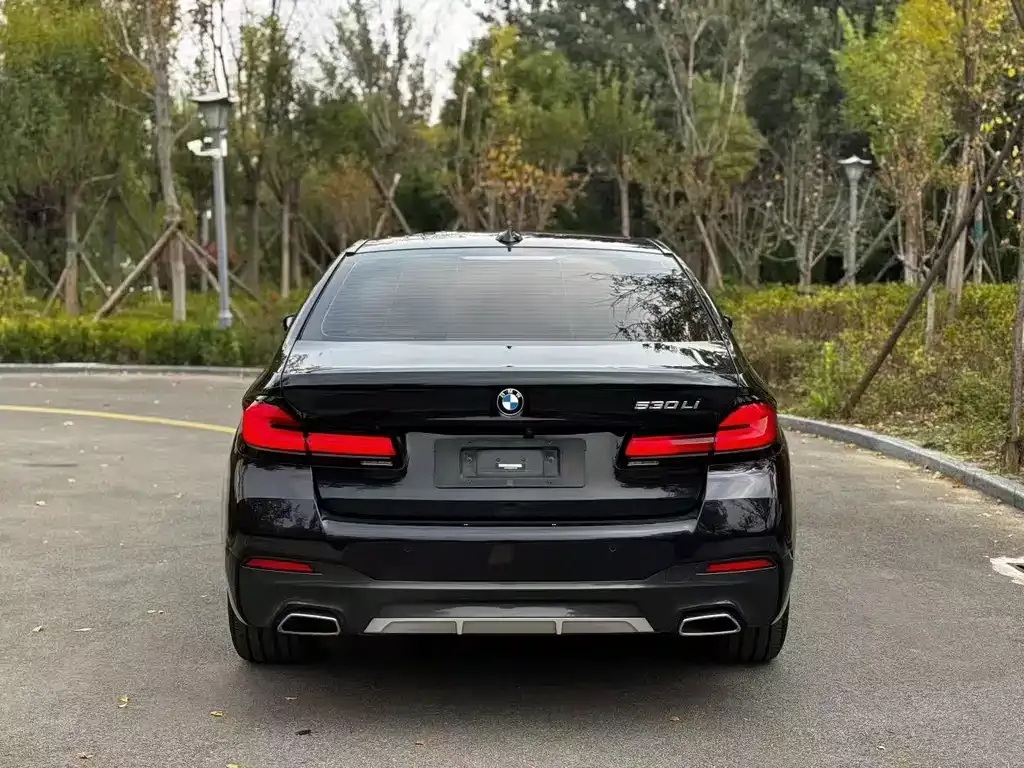 BMW 5 Series 2023 из CN, фото 8