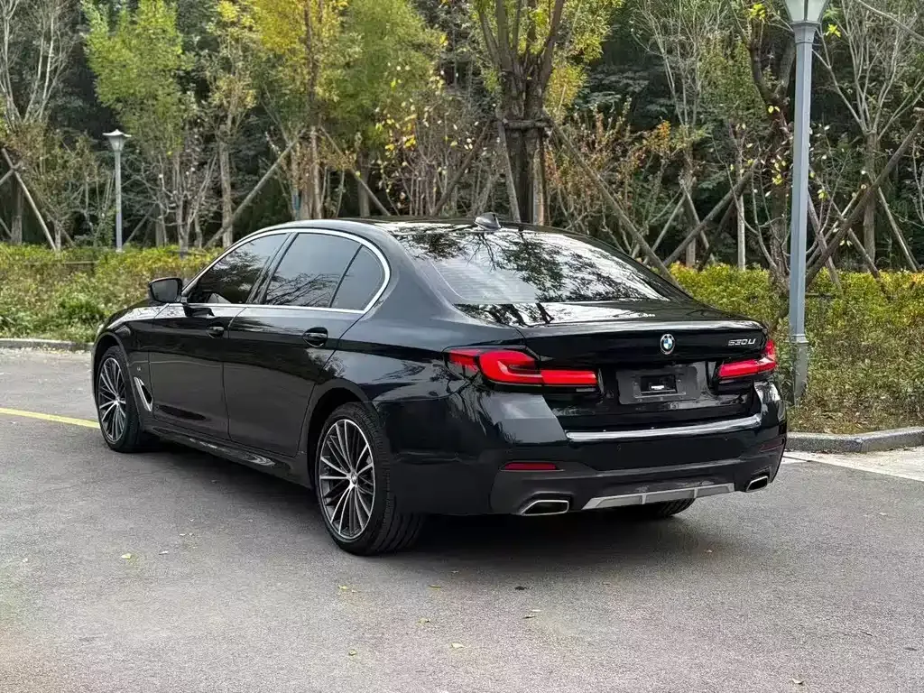 BMW 5 Series 2023 из CN, фото 9