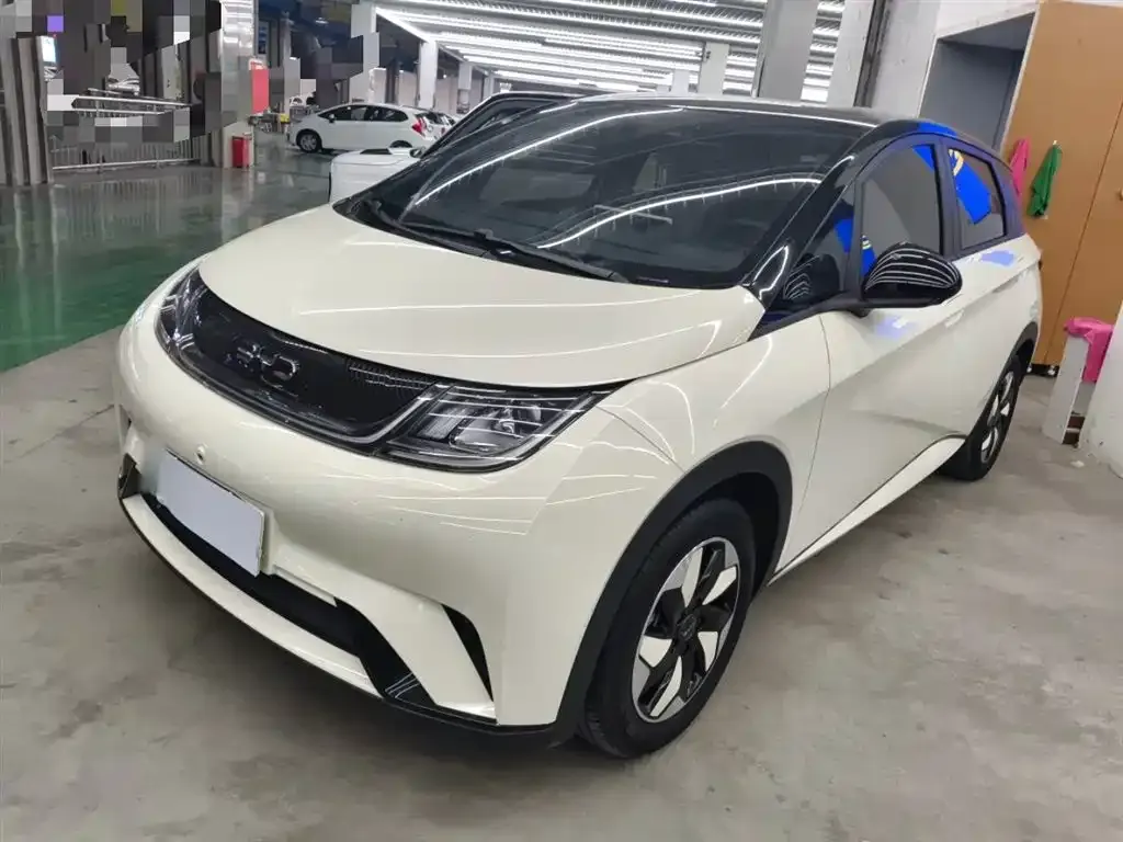 BYD Dolphin 2024 из CN, фото 2