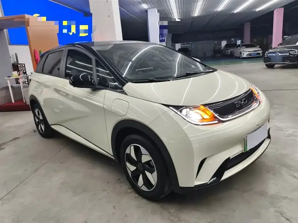 BYD Dolphin 2024 из CN, фото 4